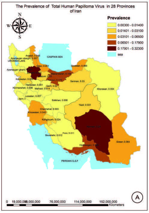 شیوع hpv در ایران وینگمن فارسی